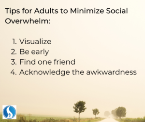 Image of road and trees with the words "Tips for Adults to Minimize Social Overwhelm:1) Visualize 2) Be early 3) Find one friend 4) Acknowledge the awkwardness